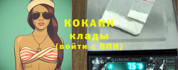 дмт Абаза