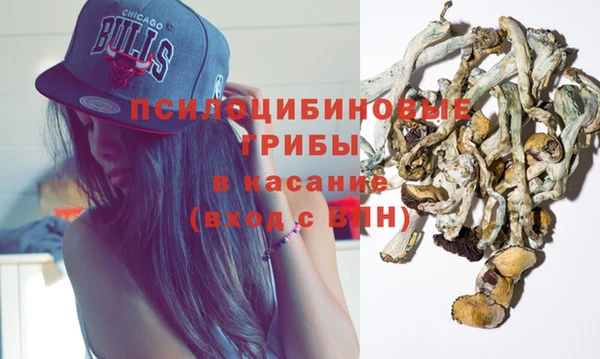 дмт Абаза