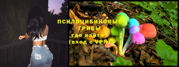 дмт Абаза