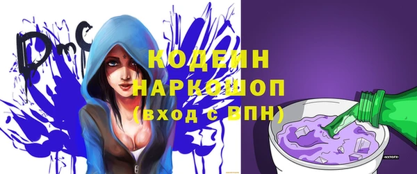 дмт Абаза